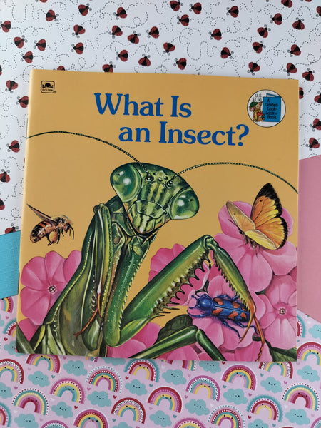 Vintage 1975 Golden Books What Is an Insect? Softcover