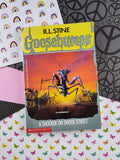 Vintage 1995 1st Printing R.L. Stine Goosebumps #35, A Shocker on Shock Street