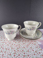 Vintage Minton Fine Bone China Royal Doulton "Summer Song" Tea Cup/Saucer Set/2