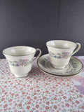 Vintage Minton Fine Bone China Royal Doulton "Summer Song" Tea Cup/Saucer Set/2