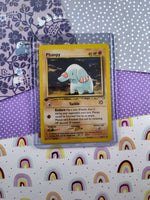 Vintage Uncommon - 1st Edition Phanpy Neo Genesis Non-Holo Pokemon Card 43/111 - NM