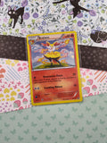 Pokemon TCG Promo Braixen X&Y Holographic Pokemon Card XY161 - LP