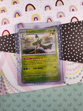 Pokemon TCG - Arboliva Scarlet & Violet Holographic Card 023/198 - NM