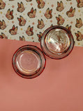 Vintage Tiffany-Style Pennsylvania Dutch Country Horse & Buggy Glass Tumblers Set/2
