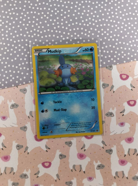 Pokemon TCG - Mudkip Promo Holographic Card XY38 - LP