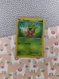 Pokemon TCG - Chespin Promo Holographic Card XY88 - LP