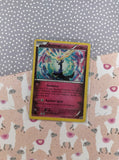 Pokemon TCG - Xerneas Promo Holographic Card XY05 - MP