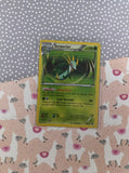 Pokemon TCG - Serperior Promo Holographic BW20 - MP