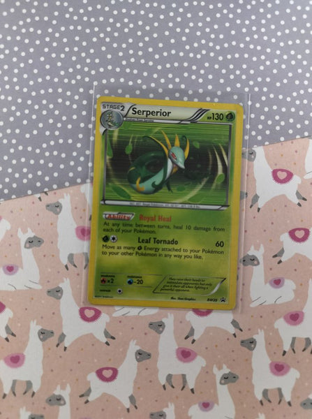 Pokemon TCG - Serperior Promo Holographic BW20 - MP