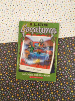 Goosebumps Book Lot, Set/11 Books Paperback Softcover, Fair Condition