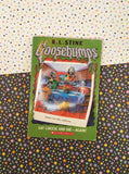 Goosebumps Book Lot, Set/11 Books Paperback Softcover, Fair Condition