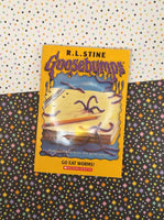 Goosebumps Book Lot, Set/11 Books Paperback Softcover, Fair Condition