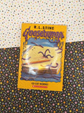 Goosebumps Book Lot, Set/11 Books Paperback Softcover, Fair Condition