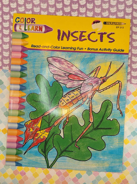 Vintage 1999 Color & Learn: Insects Edupress EP 213 Softcover Booklet