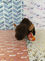 TY Beanie Baby - Roam, Buffalo - September 17, 1998