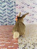 TY Beanie Baby - Nibbly, Bunny - May 7, 1998