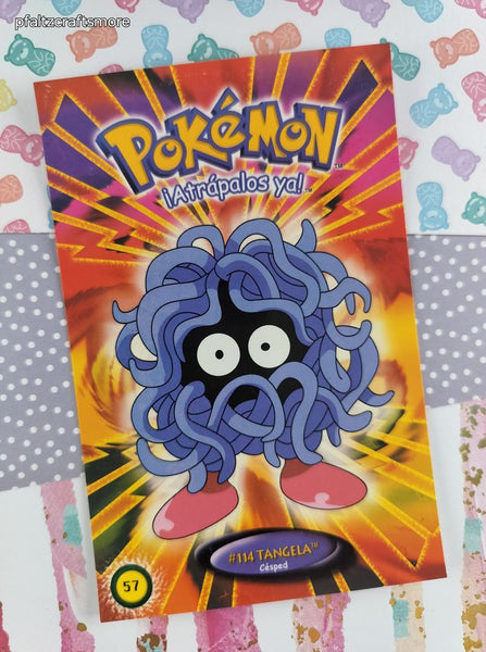 RARE Vintage 2000 Pokemon International Postcard Standard Size #57 - NM