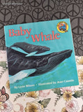 Vintage 1991 All Aboard Books: Baby Whale by Lynn Wilson Softcover