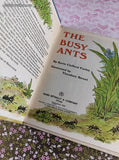 Vintage 1973 Start-Right Elf Book, The Busy Ants, Hardcover