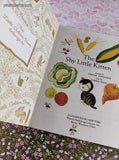 Vintage 1993 Little Golden Book: The Shy Little Kitten Hardcover, Like New