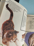 Vintage 1981 All About Cats Nutmeg Press Softcover Booklet