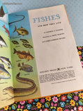 Vintage 1960 Fishes and How They Live Golden Library of Knowledge Hardcover