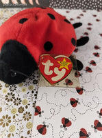 Vintage TY Beanie Baby - Lucky, Ladybug - May 1, 1995 LIKE NEW