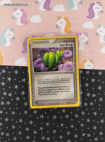 Vintage Uncommon - Lum Berry EX Ruby & Sapphire Non-Holo Pokemon Card 84/109 - LP