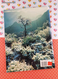 Vintage 1987 Grand Canyon Visual Softcover Booklet