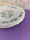 Vintage Veronica Forget Me Not Floral Arcopal French Salad Plate 7.5" Set/2, Nice & Clean