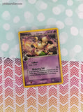 Vintage Uncommon - Smeargle ex Dragon Frontiers Non-Holo Pokemon Card 39/101 - NM