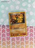 Vintage Uncommon - Bayleef ex Dragon Frontiers Non-Holo Pokemon Card 26/101 - LP