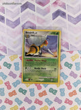 Pokemon TCG - Beedrill Rising Rivals Rare Non-Holo Pokemon Card 15/111 - VG
