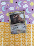 Pokemon TCG - Ursaring Call of Legends Rare Non-Holo Pokemon Card 37/95 - NM