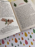 Vintage 1956 Trees: A Golden Nature Guide Miniature Softcover