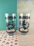 Vintage Pfaltzgraff Folk Art Blue Birds Floral Glass Tumblers Set/2, Like New