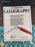 Vintage 1990 Calligraphy From Beginner to Expert an Usborne Guide Softcover