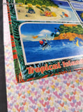 RARE Vintage 2000 Pokemon Card Game Southern Islands File Binder w/9-Pocket Pages *No Cards*