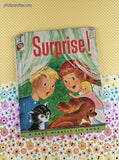 Vintage 1963 Surprise! Rand McNally Elf Book Hardcover