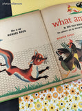 RARE Vintage 1946 What am I? I'm a CHURKENDOOSE! Wonder Books Hardcover