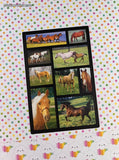 Vintage Wild Horses Ponies Farmland Picture Boxes Full Sticker Sheet, Unused