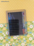 Vintage MewTwo Strikes Back TOPPS #18 The Temple of MewTwo Holo Blue Label Pokemon Card - VG