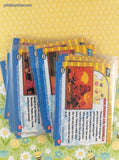 Vintage Pikachu's Vacation TOPPS Set/14 Non-Holo Black & Blue Label Pokemon Cards, No Duplicates
