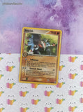 Vintage Uncommon - Anorith ex Legend Maker Non-Holo Pokemon Card 29/92 - VG
