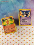 Vintage Bulk Pokemon Card Lot, 484 Common ex Series Cards No Duplicates