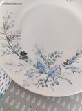 Vintage Pfaltzgraff Winter Frost Snowy Dinner Plate 11.25", Clean