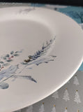 Vintage Pfaltzgraff Winter Frost Snowy Dinner Plate 11.25", Clean