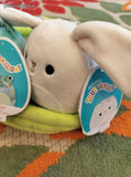 NWT Squishmallows Green Easter Basket w/Valentina & Ferdie 4”-5” Squishmallows