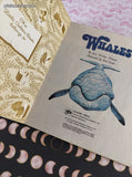 Vintage 1978 Little Golden Book: Whales Hardcover