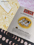 Vintage 1996 Little Golden Book: Walt Disney's 101 Dalmatians Hardcover